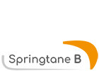 logo springtane